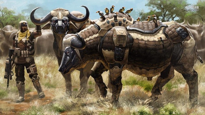 怎么样维护好肾？